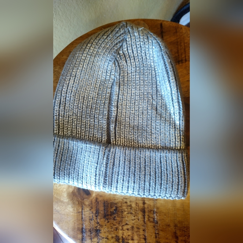 NWOT Metallic beanie